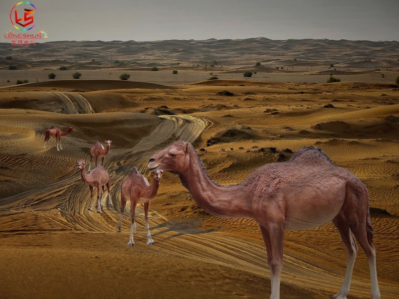安徽駱駝發光雕塑